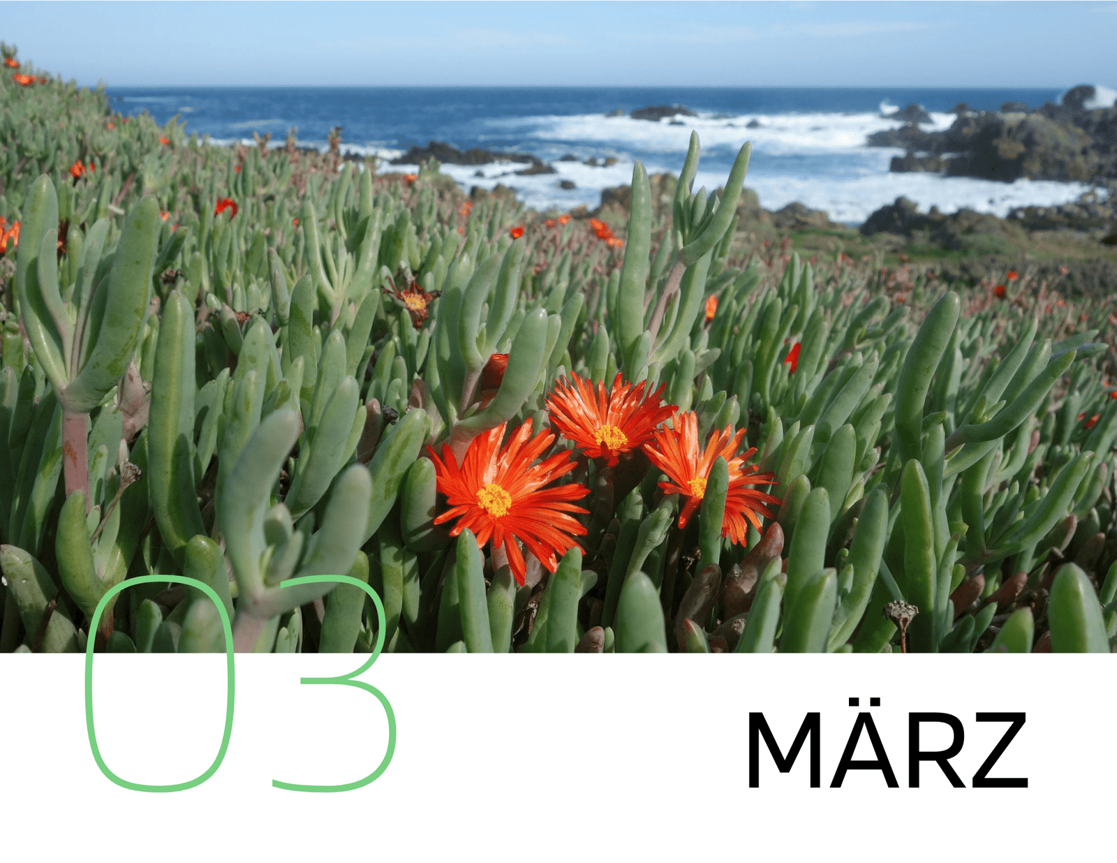 Veranstaltungstipps März 2021