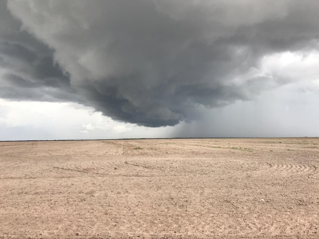 Klimagerechtigkeit statt Landraub