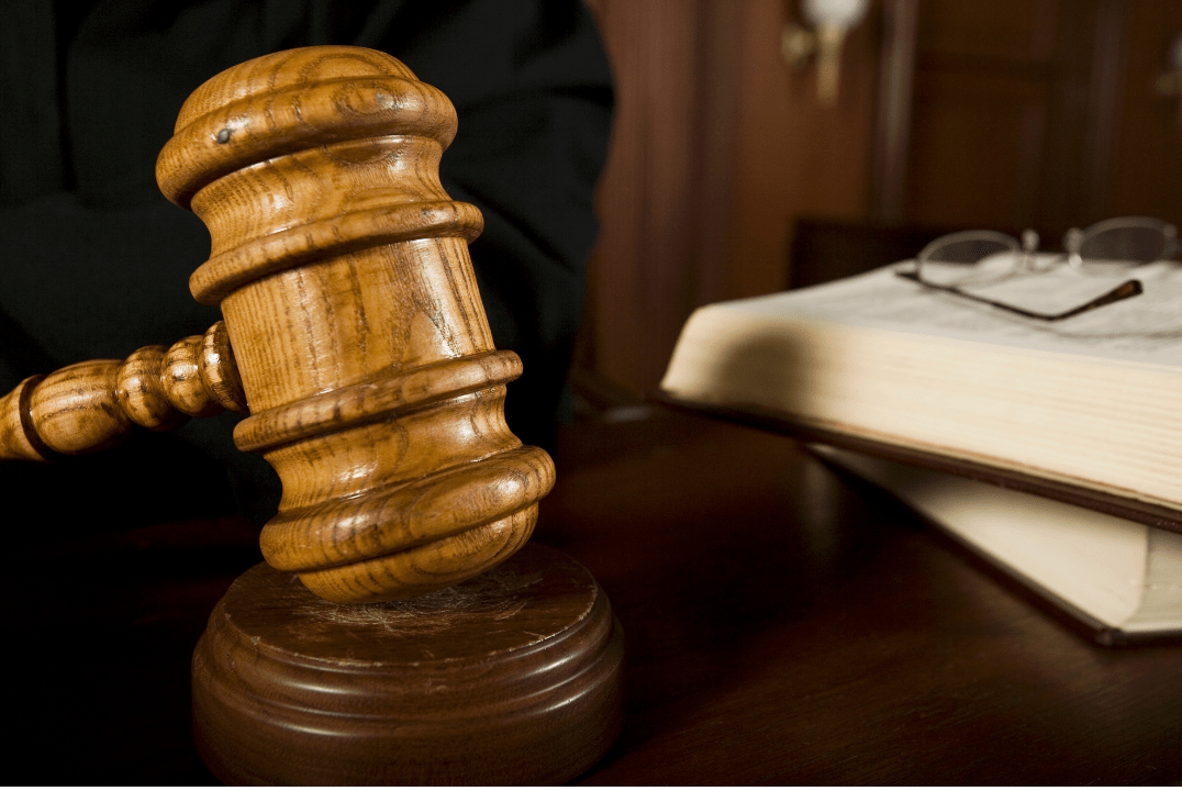 Patria Potestad: La lucha por los hijxs