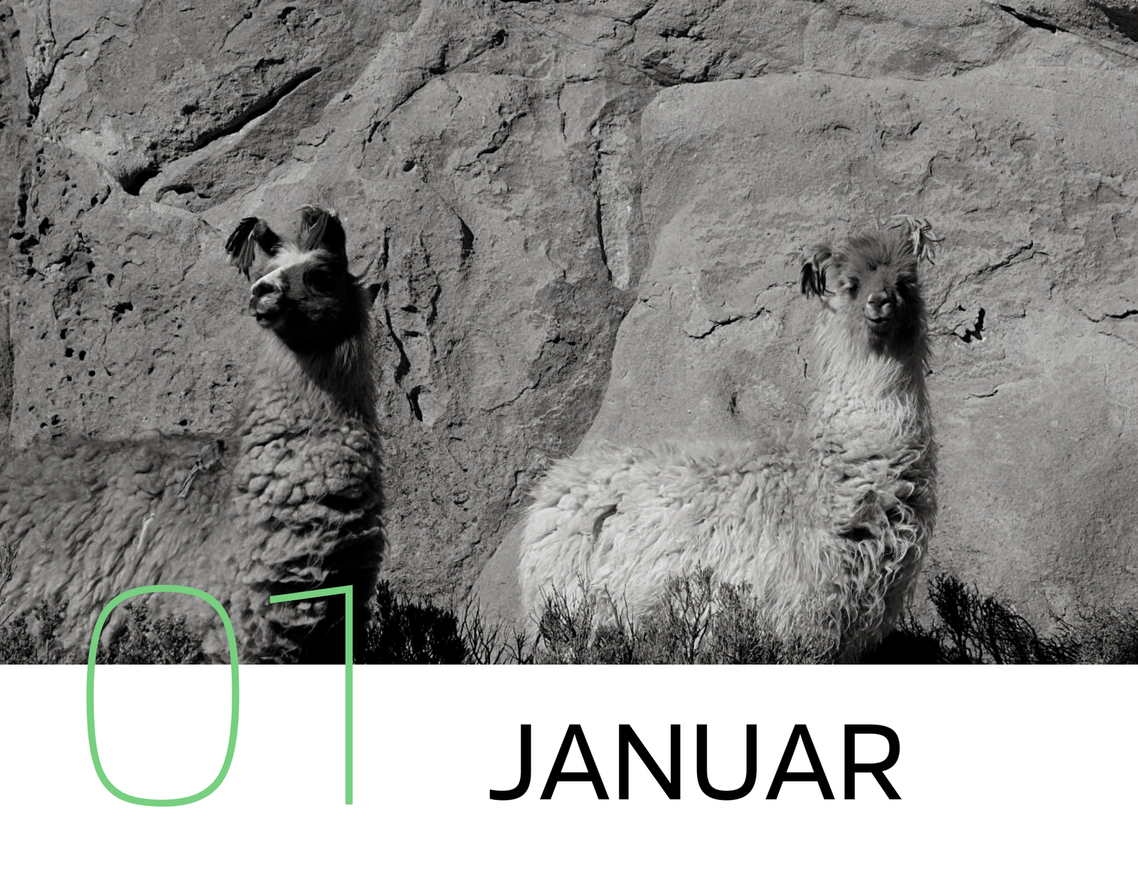 Veranstaltungstipps Januar 2021