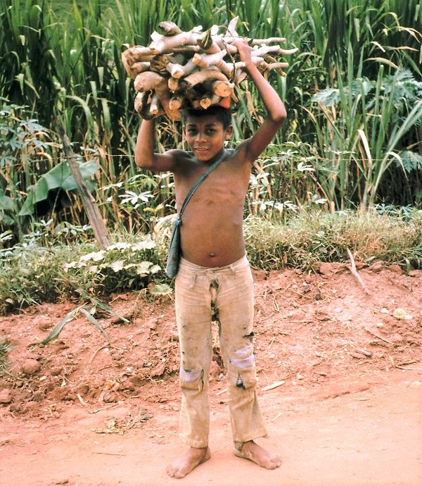 Ausgebeutet, missbraucht, verwahrlost für immer? Fortschritte bei Durchsetzung von Kinderrechten in Lateinamerika??