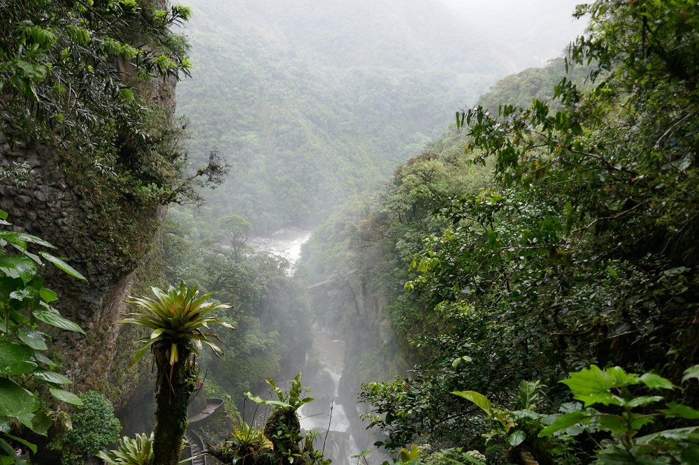 OPEN-AIR-TOGETHER KLIMABÜNDNIS UND KLIMASCHUTZ Gemeinsam für unsere Eine Welt. Steinplatz 15. Juni