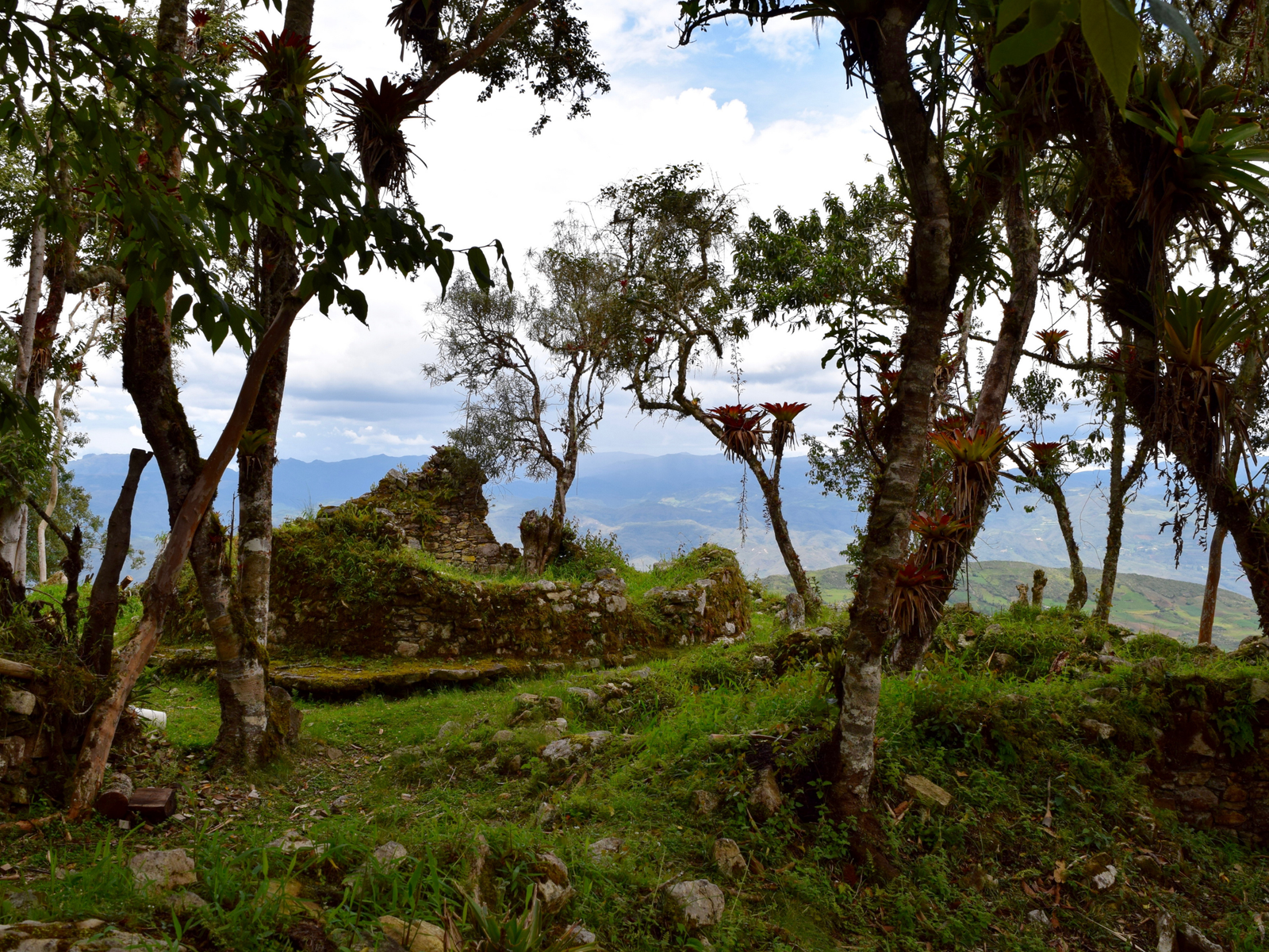 Starke Rechte für Indigene, Menschenrechts- und Umweltaktivist:innen