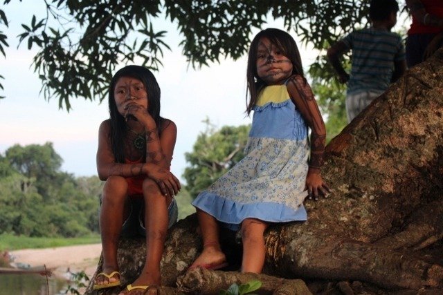 Berlin im Klima-Bündnis: Kommunen in Partnerschaft mit den Indigenen Völkern und für den Schutz der Regenwälder Amazoniens