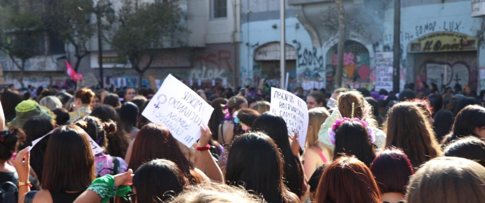 Política de género feminista en gobiernos de la izquierda democrática