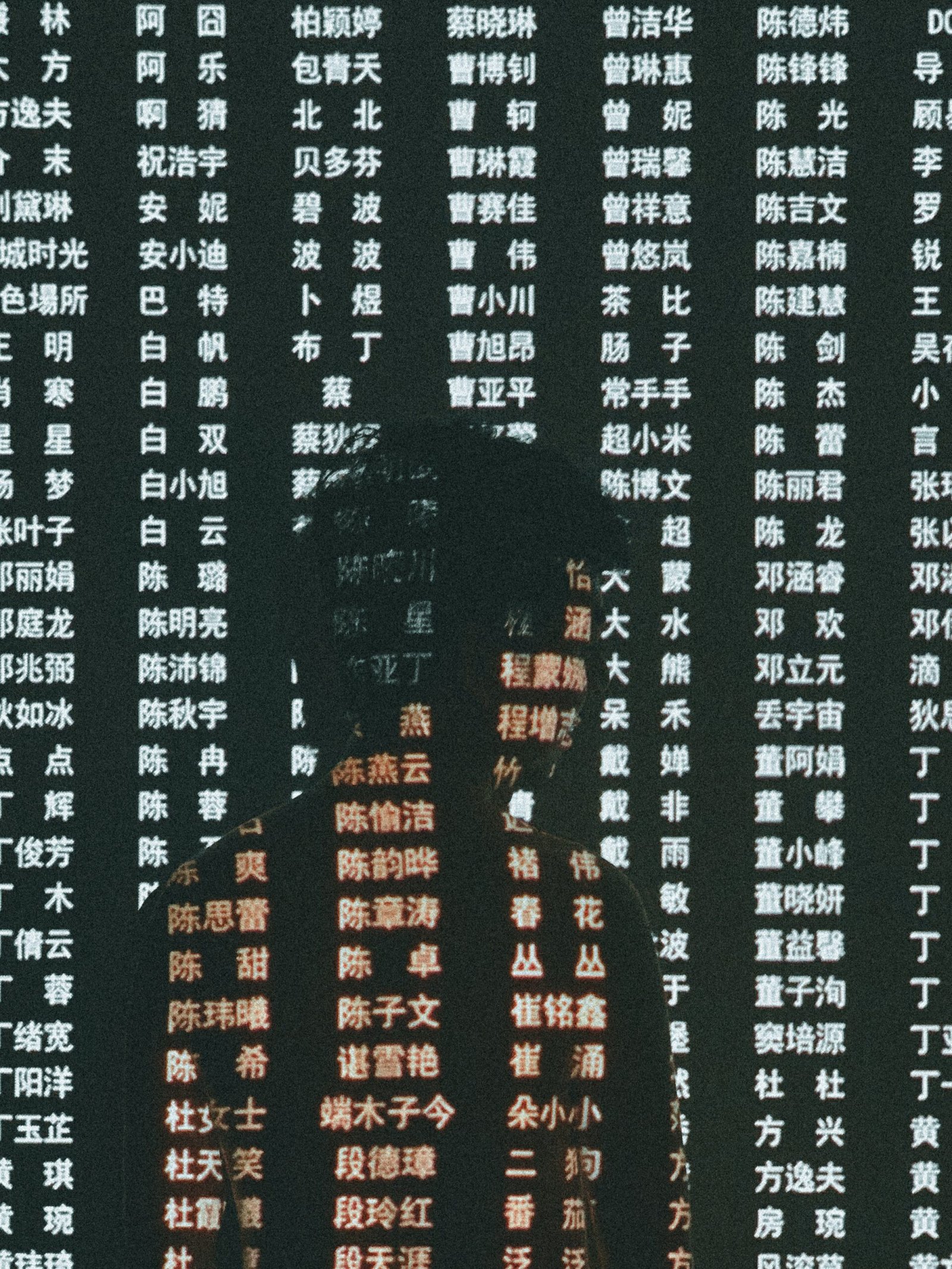 Rechtsstaatlichkeit in der Volksrepublik China?